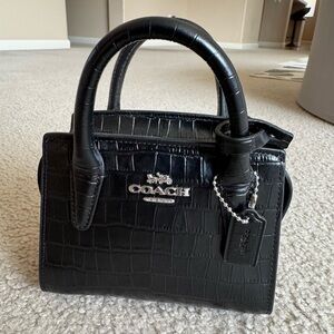 Coach Mini Andrea Carryall Bag